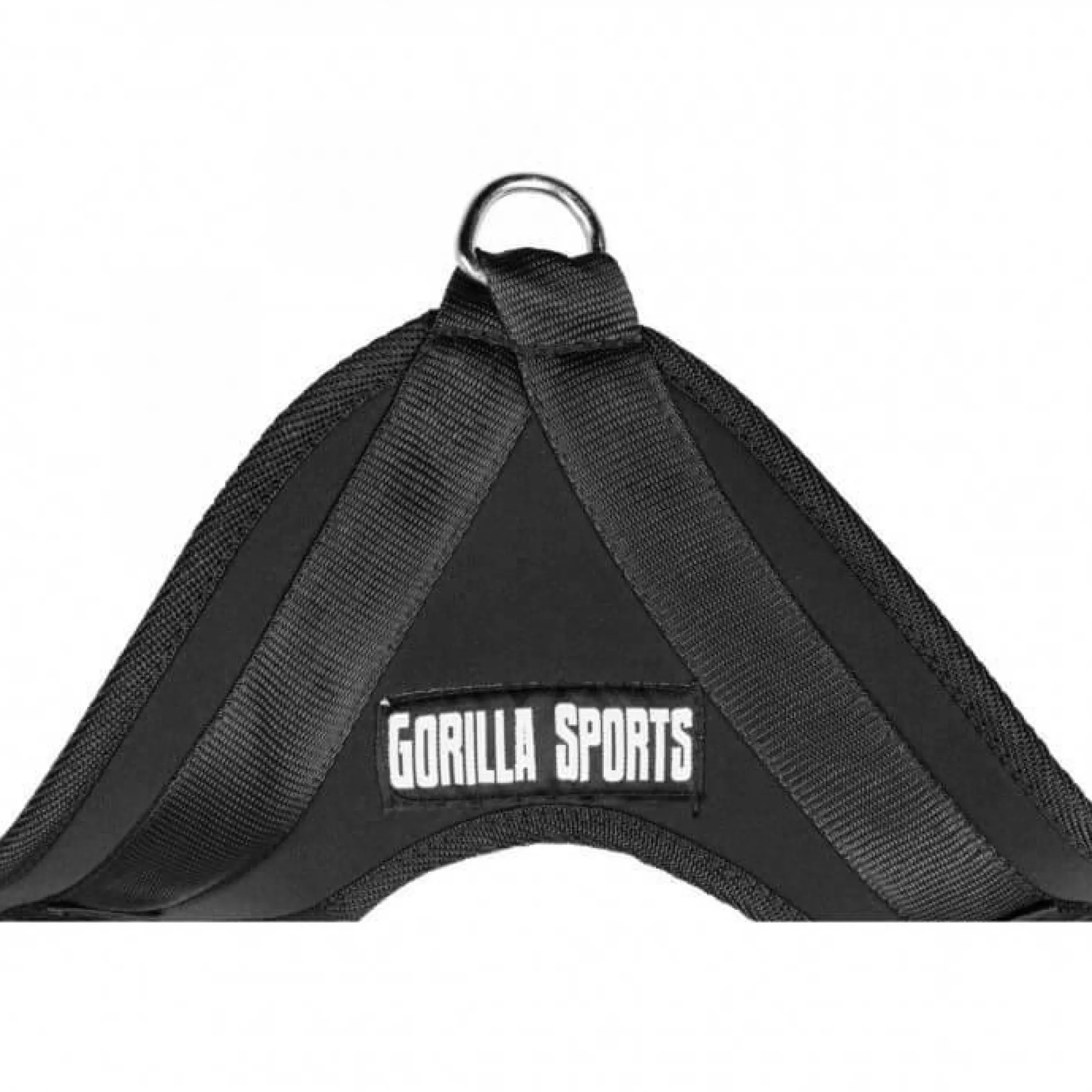 Crunch Strap