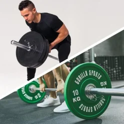 Federverschluss 2er Set Olympia