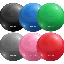 Gymnastikball inkl, Luftpumpe 55 - 75 cm