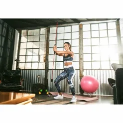 Gymnastikballhalter Transparent