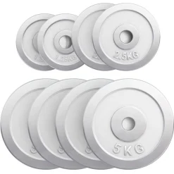 Hantelscheibe Chrom 0,5 - 30 kg