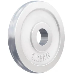 Hantelscheibe Chrom 0,5 - 30 kg
