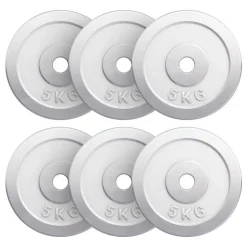 Hantelscheibe Chrom 0,5 - 30 kg