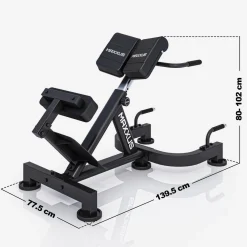 Hyperextension Rückentrainer PRO