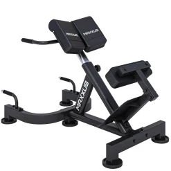 Hyperextension Rückentrainer PRO