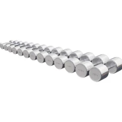 Kurzhantel Chrom 1 - 20 kg