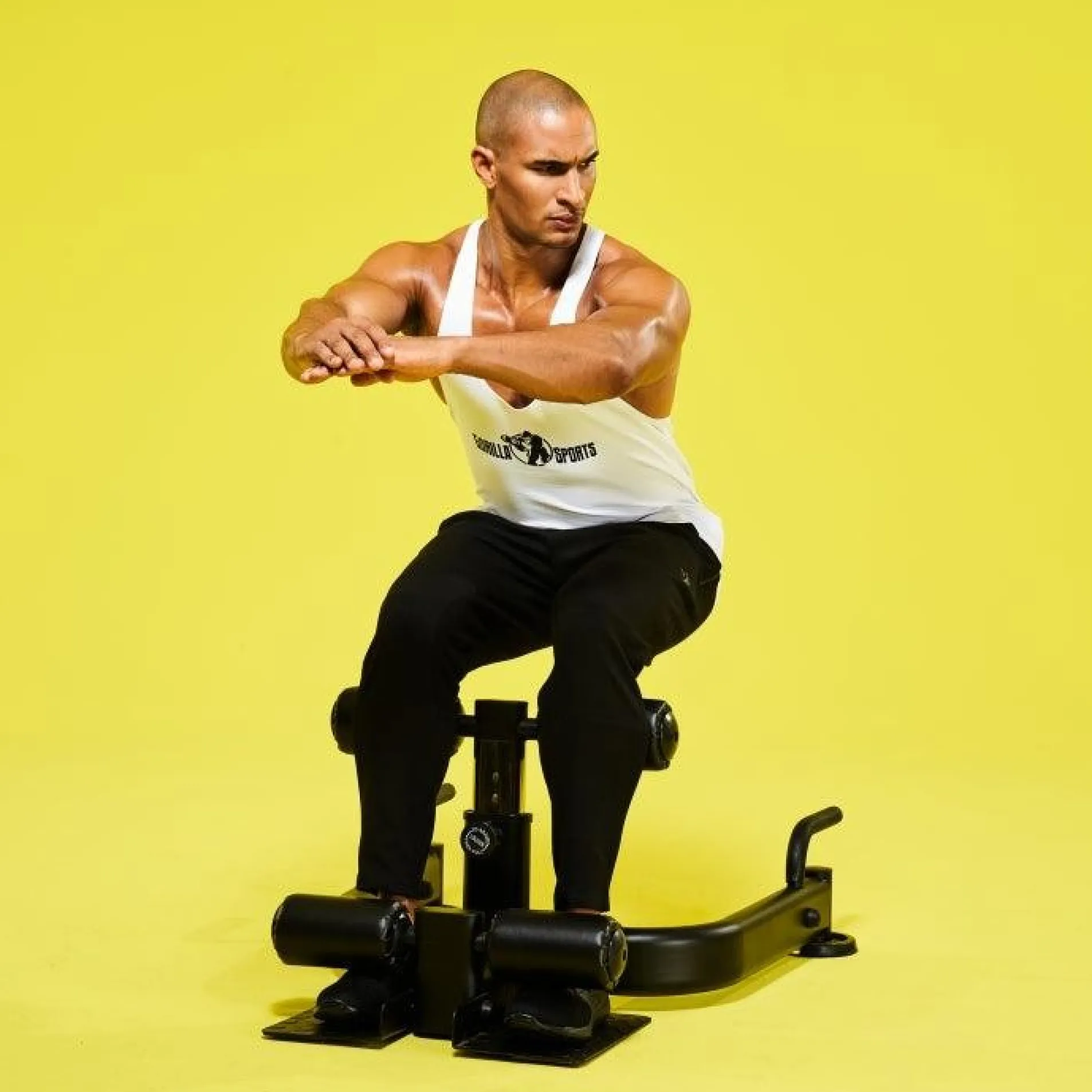Sissy Squat Beintrainer PRO verstellbar